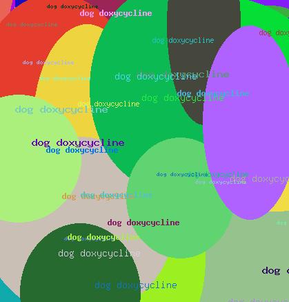 Dog Doxycycline